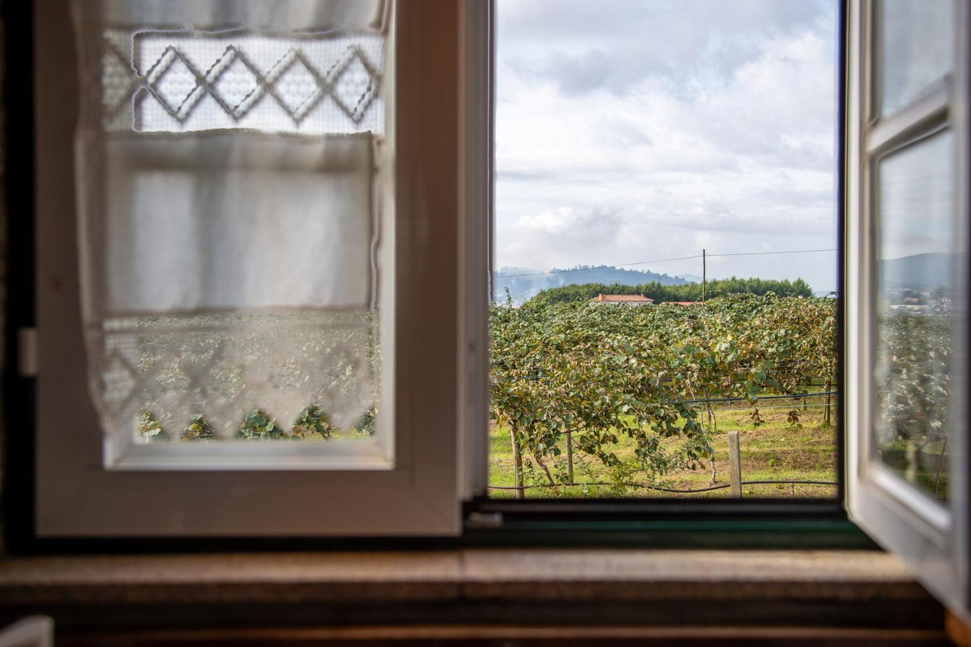 Quinta Do Carvalhal Alojamento, Penafiel Irivo Экстерьер фото